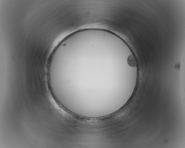 X0000111120998200906301037