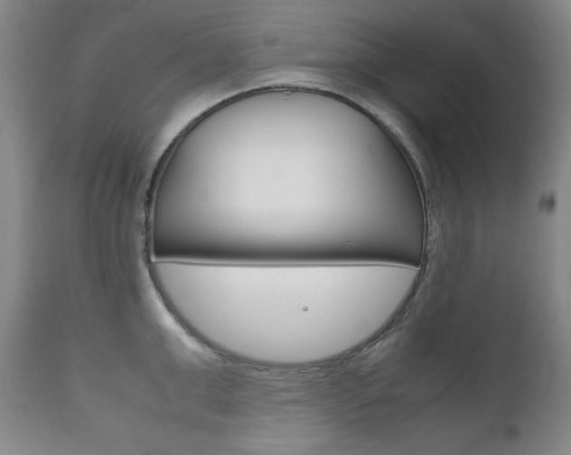 X0000111120999200906301037
