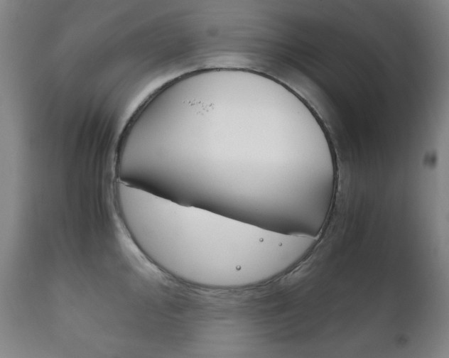 X0000111121000200906301037
