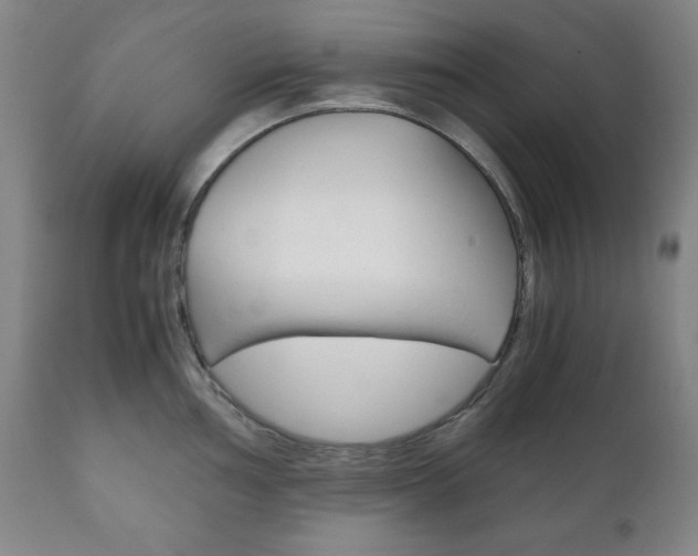 X0000111121002200906301037