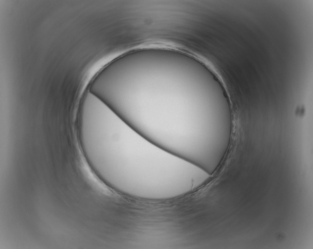 X0000111121003200906301037
