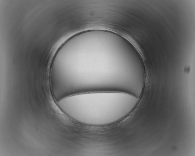 X0000111121004200906301037