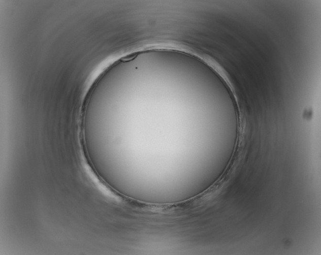 X0000111121005200906301037
