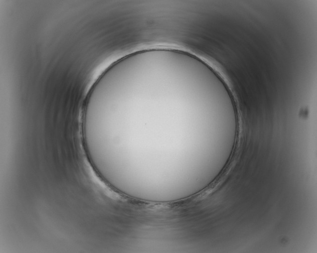 X0000111121006200906301037