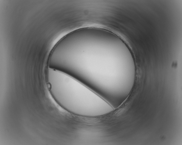 X0000111121007200906301037