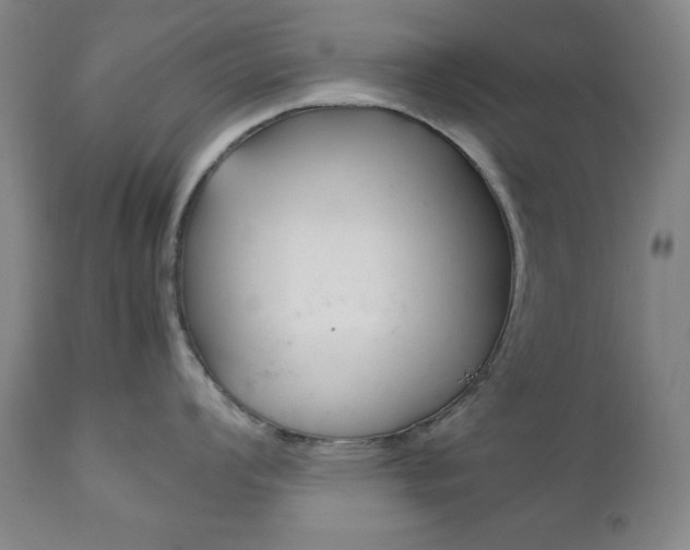 X0000111121008200906301037