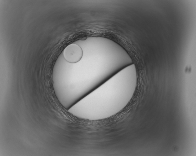 X0000111121009200906301036