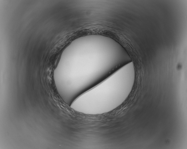 X0000111121010200906301036
