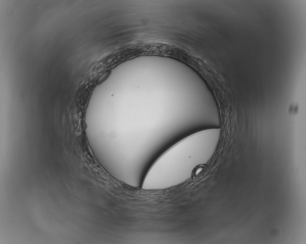 X0000111121013200906301036