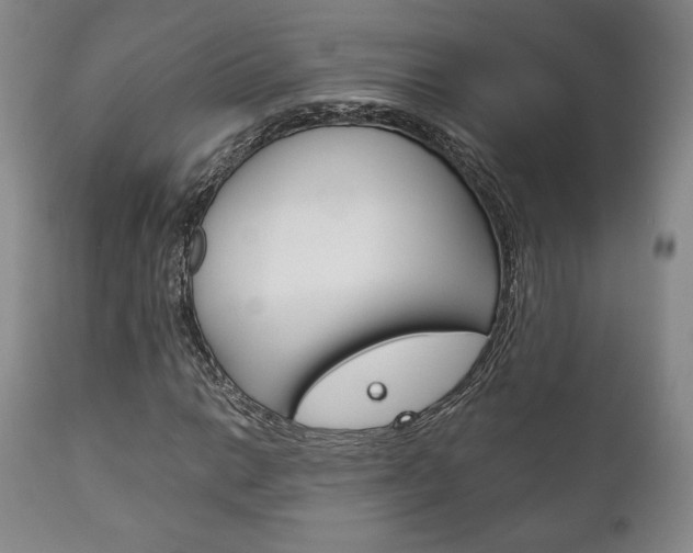 X0000111121014200906301036