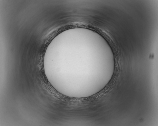 X0000111121015200906301036
