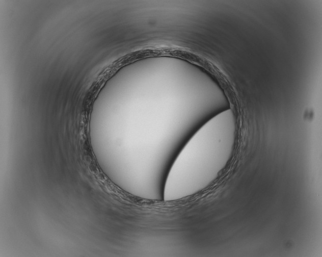 X0000111121016200906301036