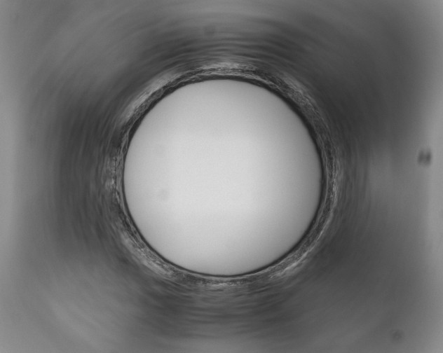 X0000111121017200906301036