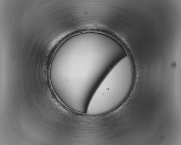 X0000111121018200906301037
