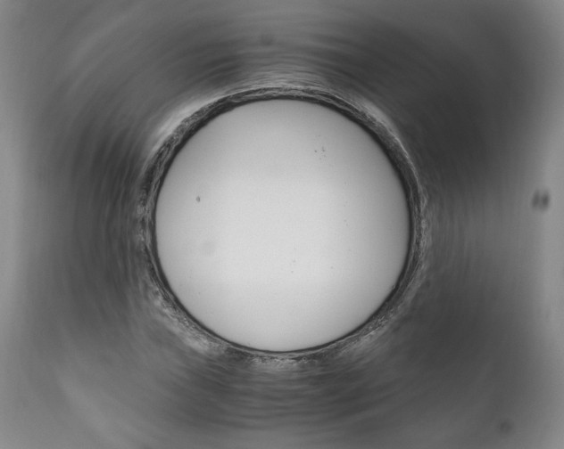 X0000111121019200906301037