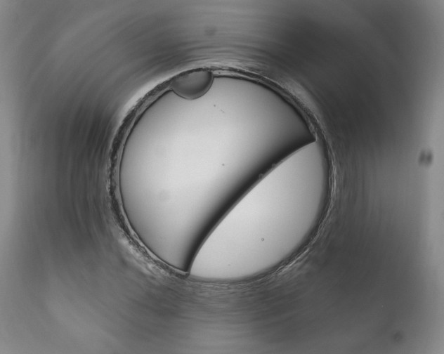 X0000111121020200906301037