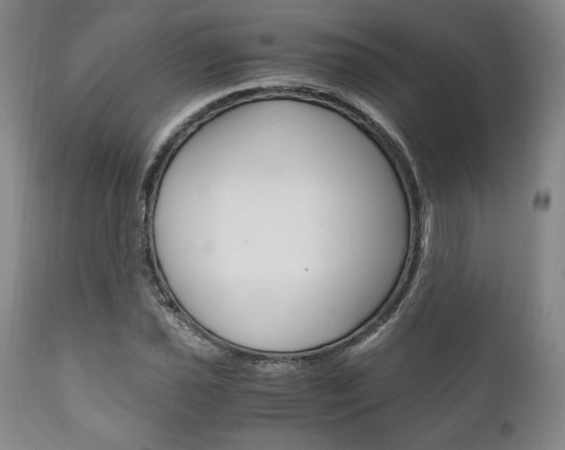 X0000111121021200906301037