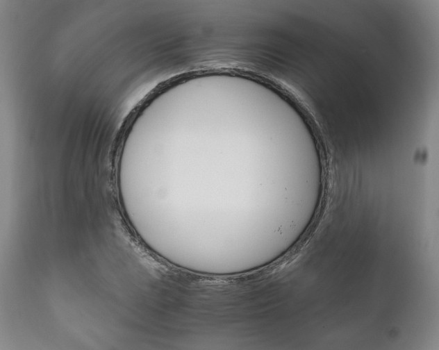X0000111121023200906301037