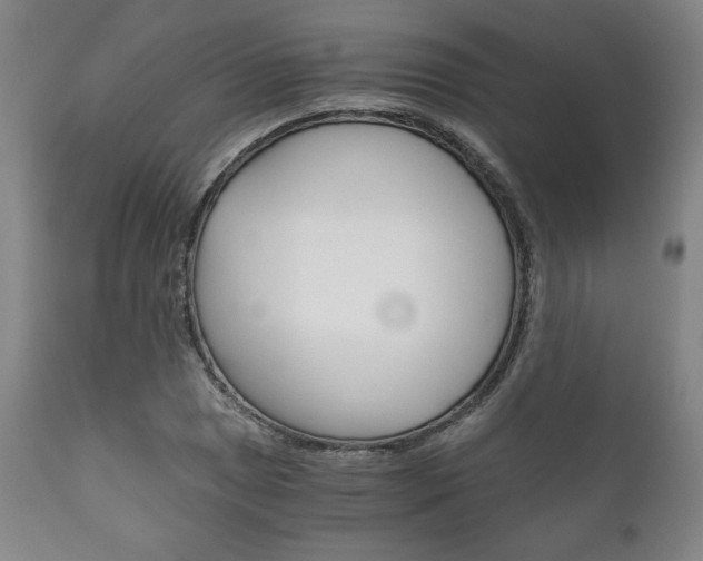 X0000111121025200906301037
