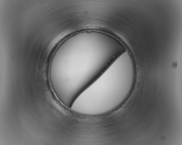 X0000111121026200906301037
