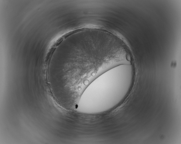 X0000111121027200906301037
