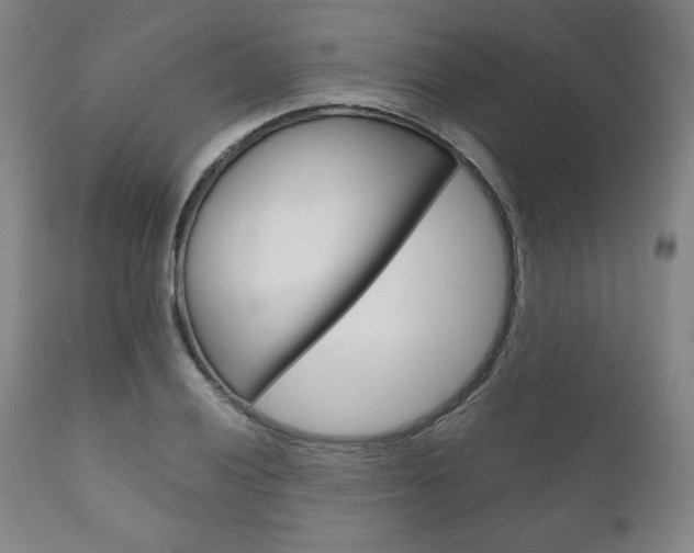 X0000111121028200906301037