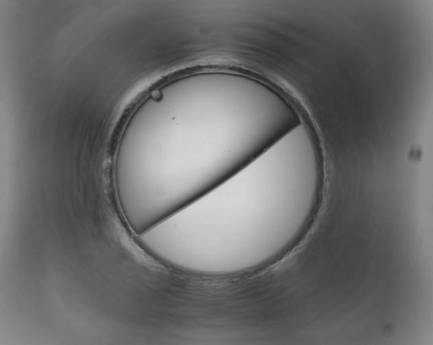 X0000111121029200906301037
