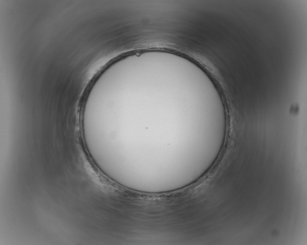 X0000111121031200906301037