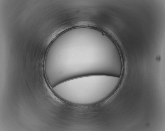 X0000111121033200906301037