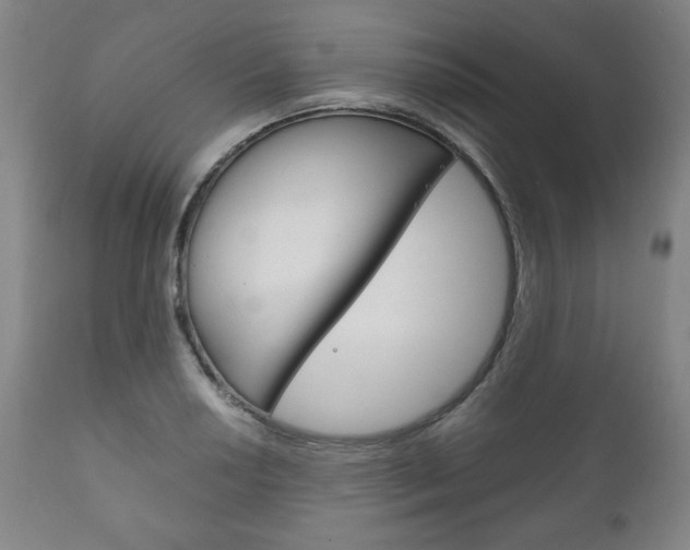 X0000111121034200906301037