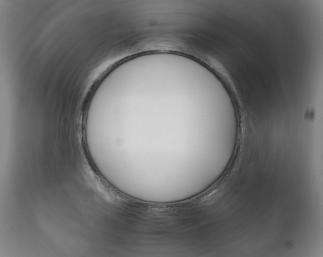 X0000111121035200906301037