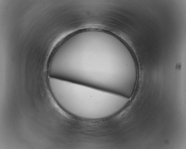 X0000111121037200906301037