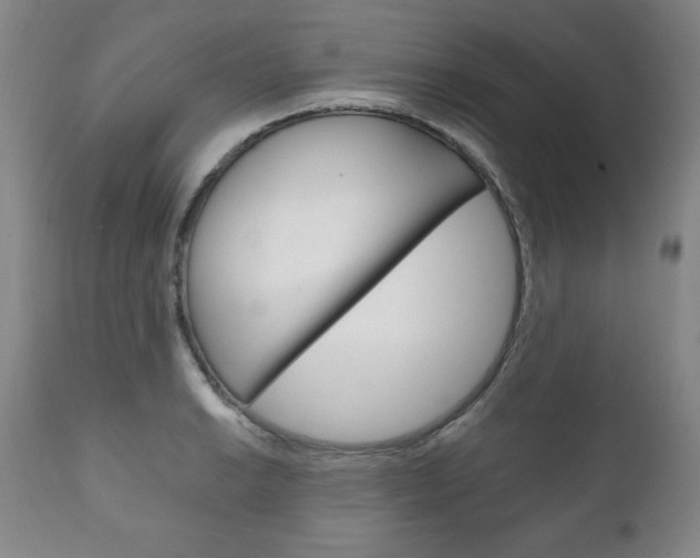 X0000111121038200906301037