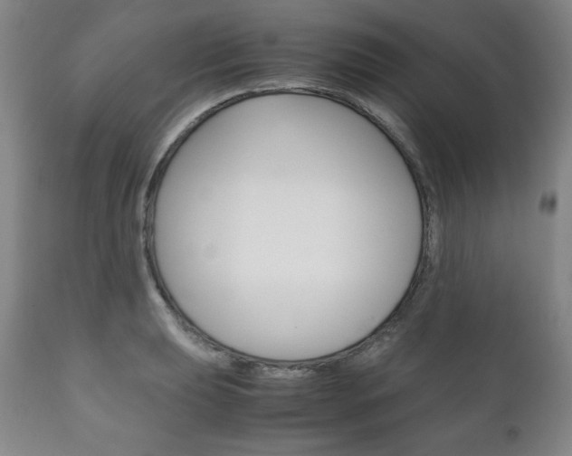 X0000111121039200906301037