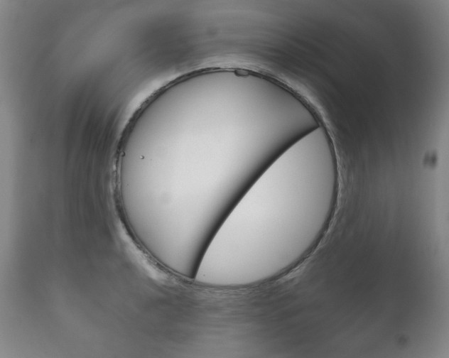X0000111121040200906301037