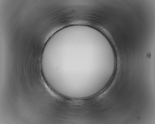 X0000111121041200906301037