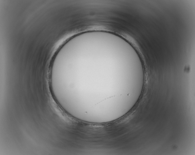 X0000111121043200906301037