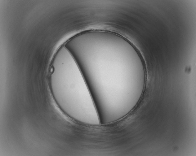 X0000111121045200906301037