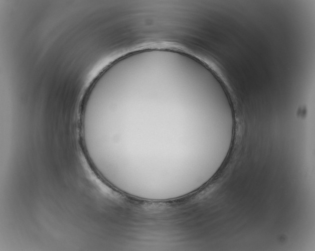 X0000111121046200906301037