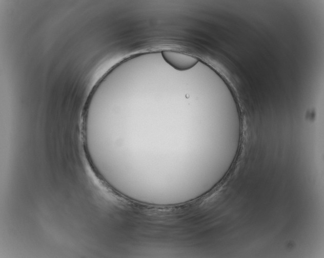 X0000111121047200906301037