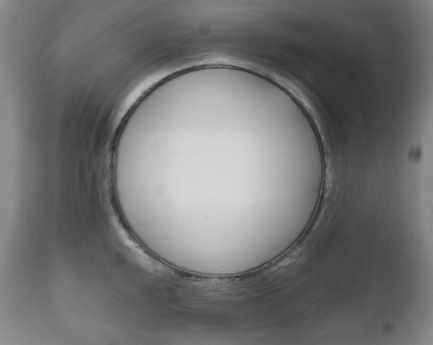 X0000111121048200906301037