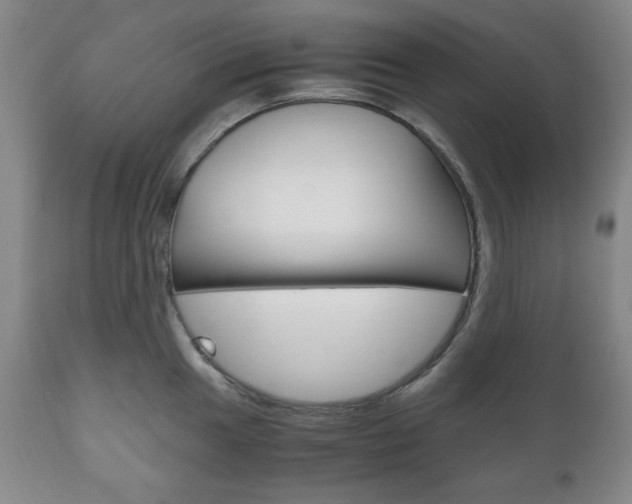 X0000111121049200906301037