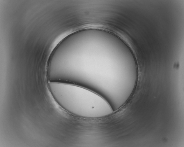 X0000111121050200906301037