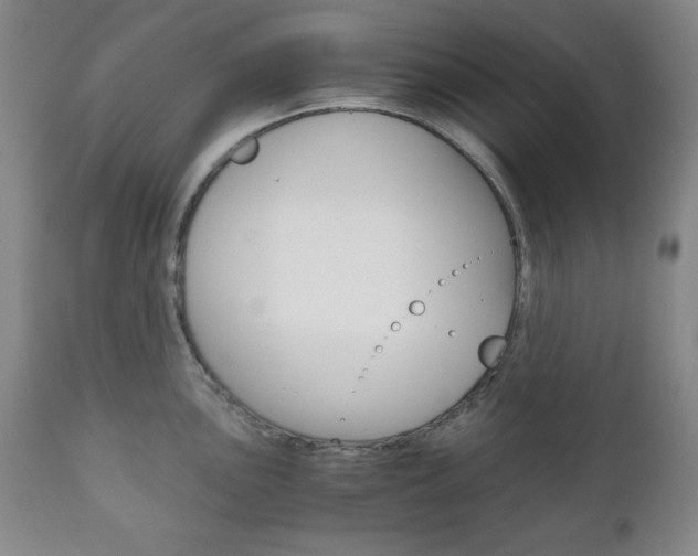 X0000111121051200906301037