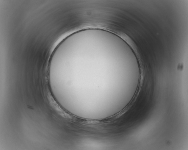 X0000111121052200906301037