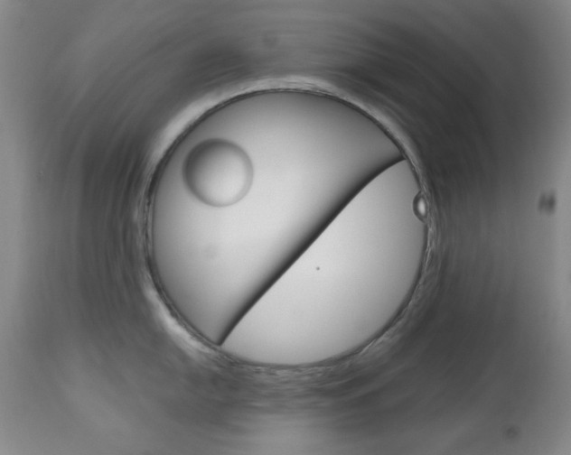 X0000111121054200906301037