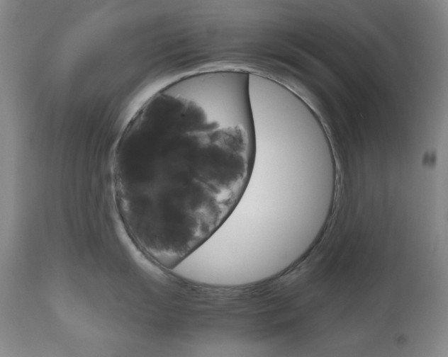 X0000111121055200906301037