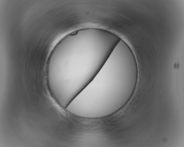 X0000111121056200906301037