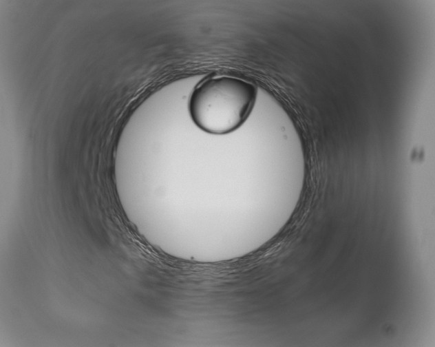X0000111121057200906301036