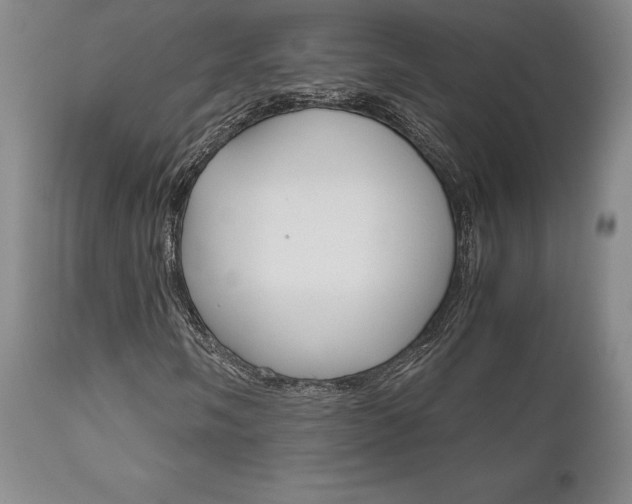 X0000111121058200906301036